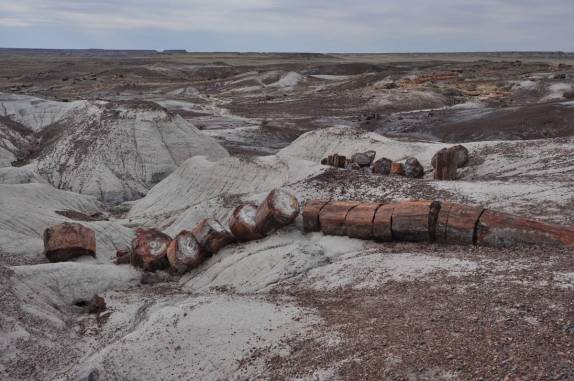 Gigantesco tronco petrificado, picotado por caçadores de cristais no Petrified Forest National Park, no Arizona - Estados Unidos
